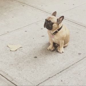 Meet your Posher, Edward